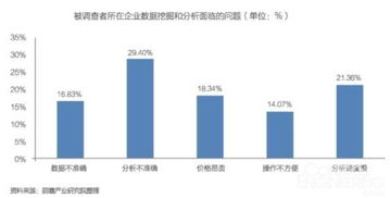 中國(guó)大數(shù)據(jù)產(chǎn)業(yè)發(fā)展前景與投資規(guī)劃分析——聚焦數(shù)據(jù)處理服務(wù)